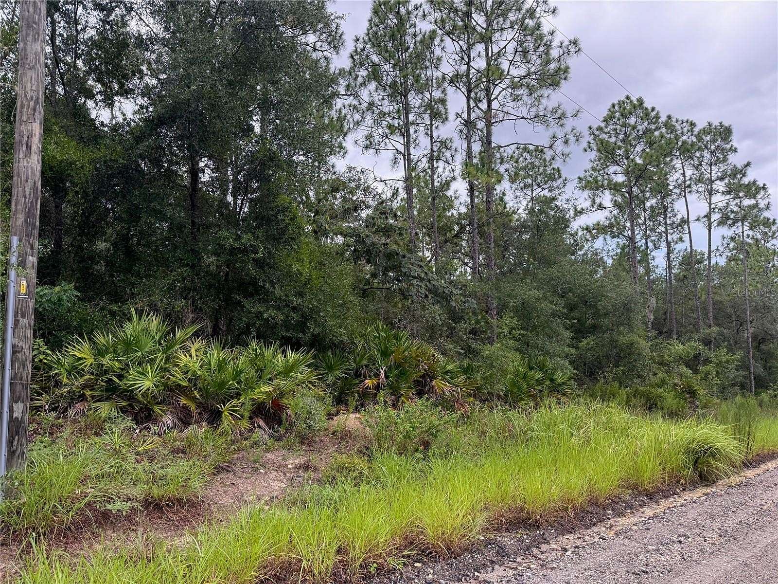 1.7 Acres of Residential Land for Sale in Dunnellon, Florida