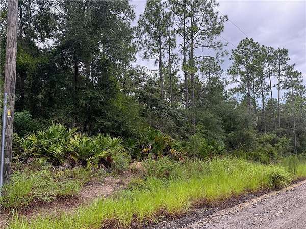1.7 Acres of Residential Land for Sale in Dunnellon, Florida