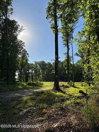 6 Acres of Residential Land for Sale in Florence, Mississippi