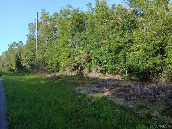 0.75 Acres of Residential Land for Sale in Citrus Springs, Florida
