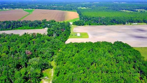 1 Acre of Residential Land for Sale in Pinetta, Florida