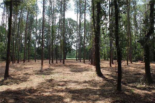 3 Acres of Residential Land for Sale in Notasulga, Alabama