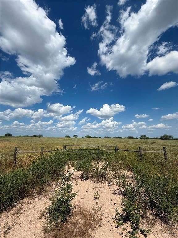 10 Acres of Land for Sale in Encino, Texas
