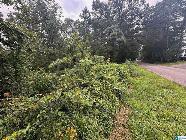2.27 Acres of Residential Land for Sale in Odenville, Alabama