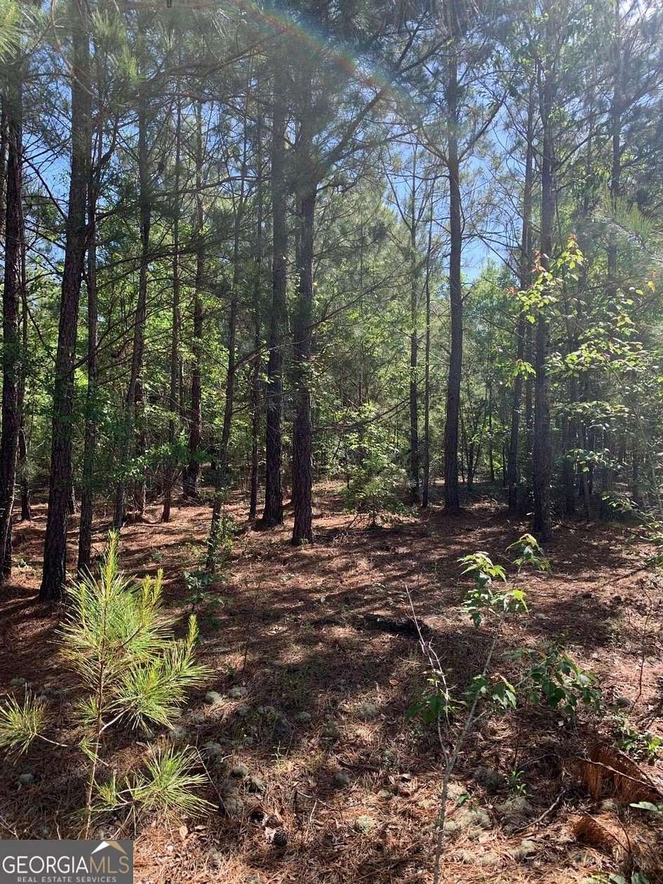 4 Acres of Residential Land for Sale in Bartow, Georgia