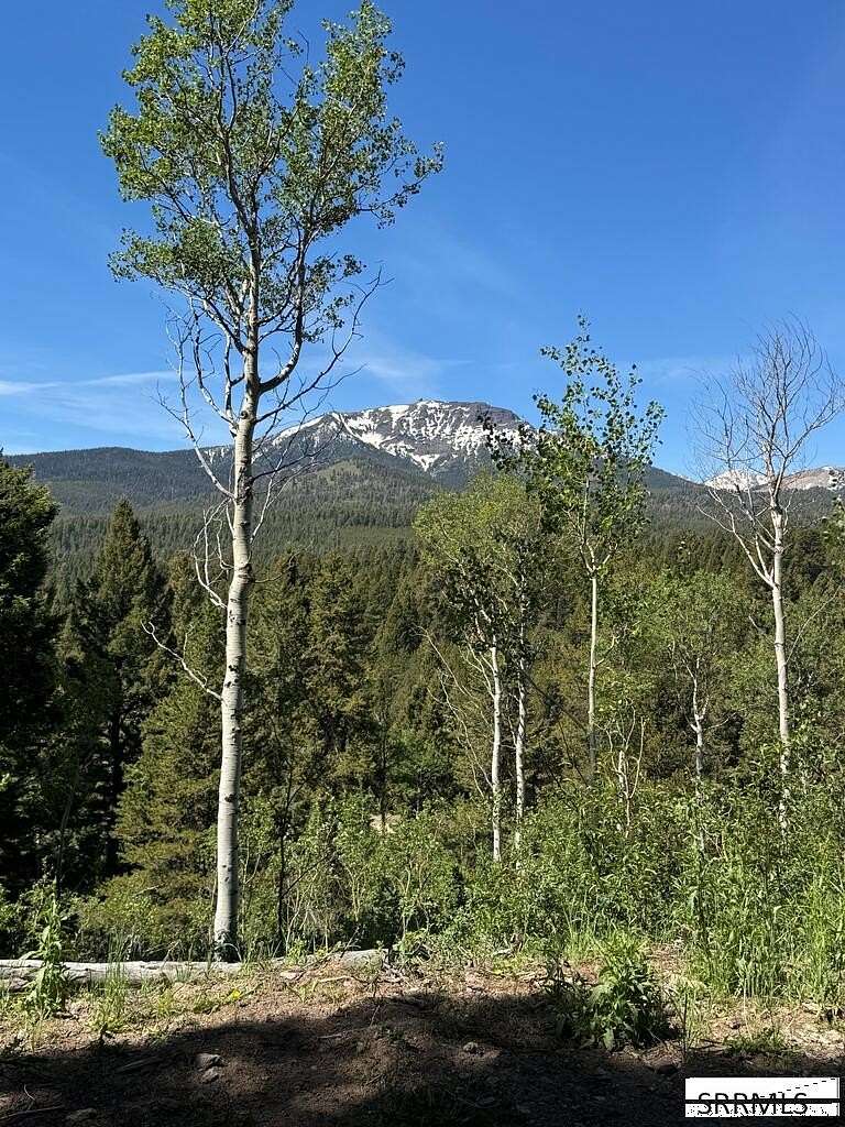3.53 Acres of Land for Sale in Island Park, Idaho