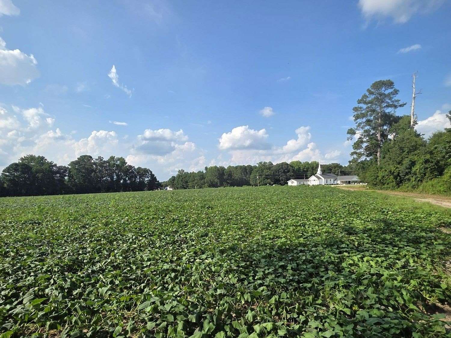 13.9 Acres of Land for Sale in Newton Grove, North Carolina