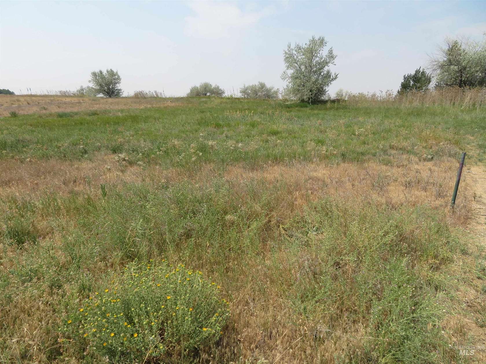 1 Acre of Residential Land for Sale in Dietrich, Idaho