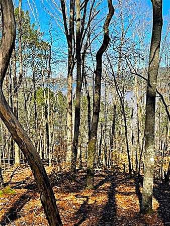 2 Acres of Residential Land for Sale in Chatsworth, Georgia