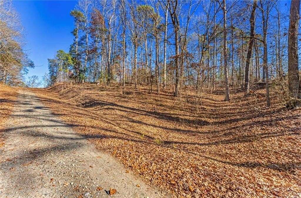 0.33 Acres of Residential Land for Sale in Lavonia, Georgia