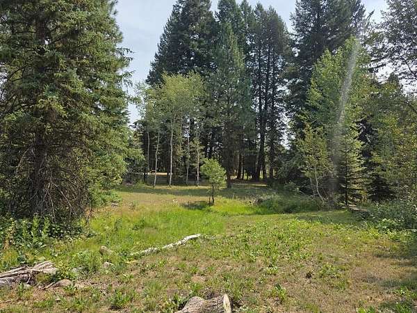 0.9 Acres of Residential Land for Sale in Donnelly, Idaho