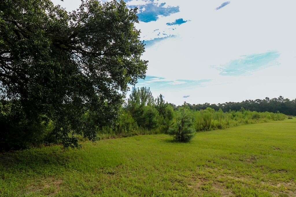16.6 Acres of Land for Sale in Cairo, Georgia