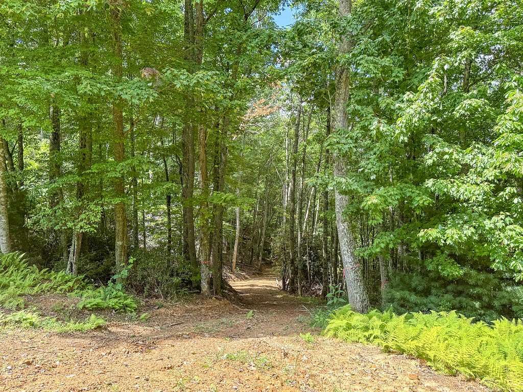 3 Acres of Residential Land for Sale in Bland, Virginia