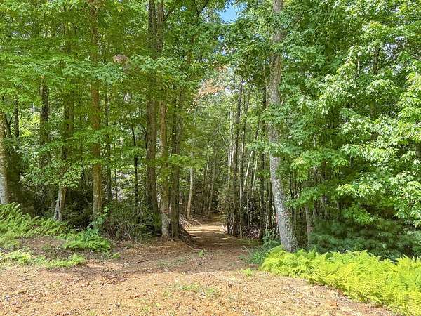 3 Acres of Residential Land for Sale in Bland, Virginia