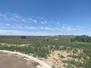 2.3 Acres of Residential Land for Sale in Canyon, Texas