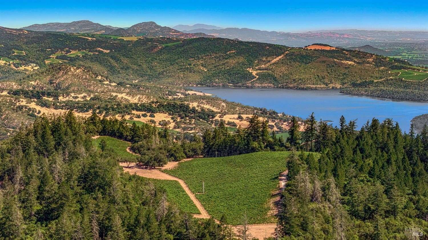 85.5 Acres of Land for Sale in St. Helena, California