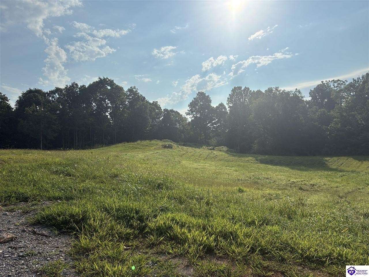 21.8 Acres of Recreational & Residential Land for Sale in Caneyville, Kentucky