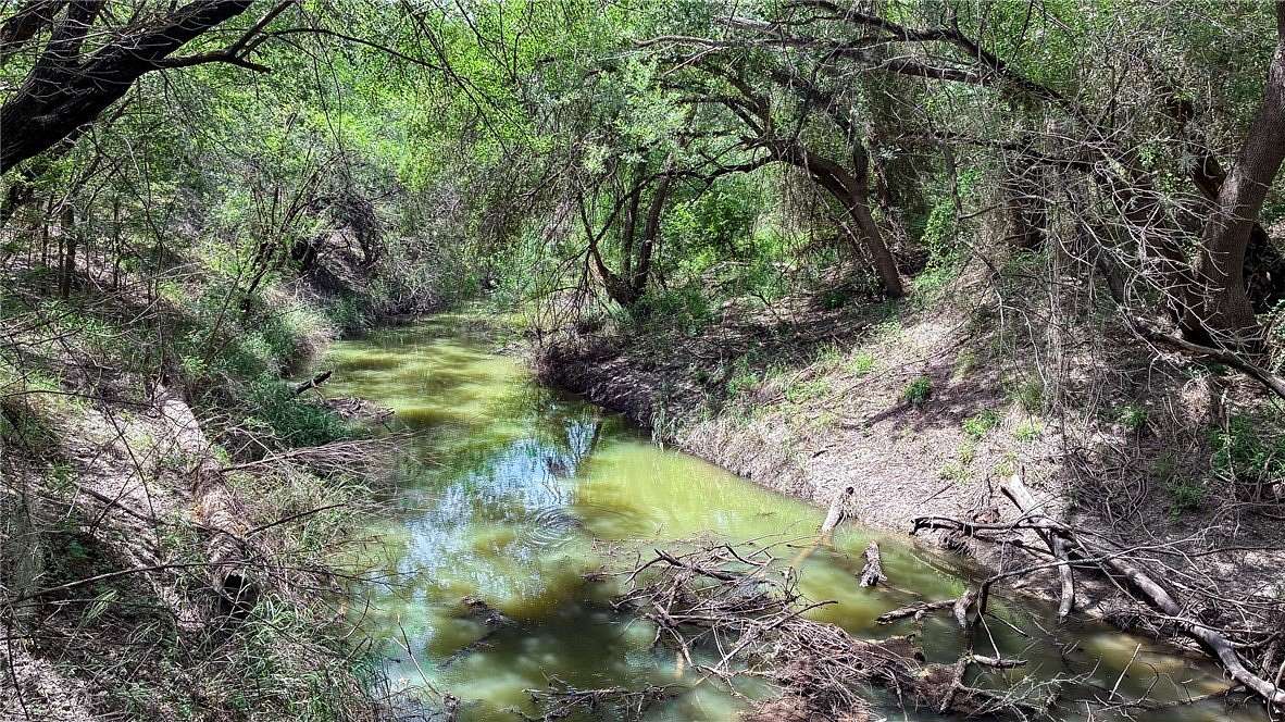 1 Acre of Land for Sale in Three Rivers, Texas
