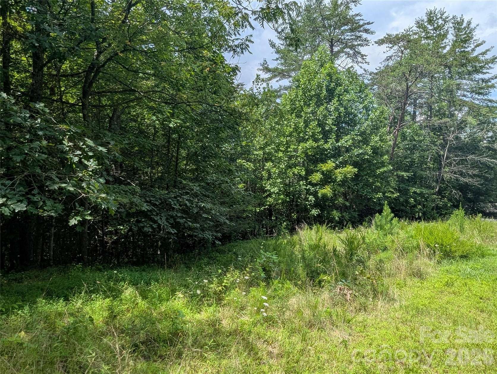 1.1 Acres of Residential Land for Sale in Marshall, North Carolina
