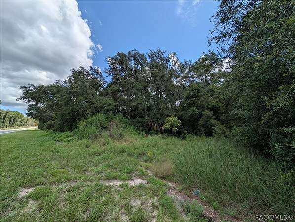 1 Acre of Residential Land for Sale in Hernando, Florida