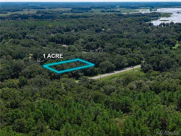 1 Acre of Residential Land for Sale in Hernando, Florida