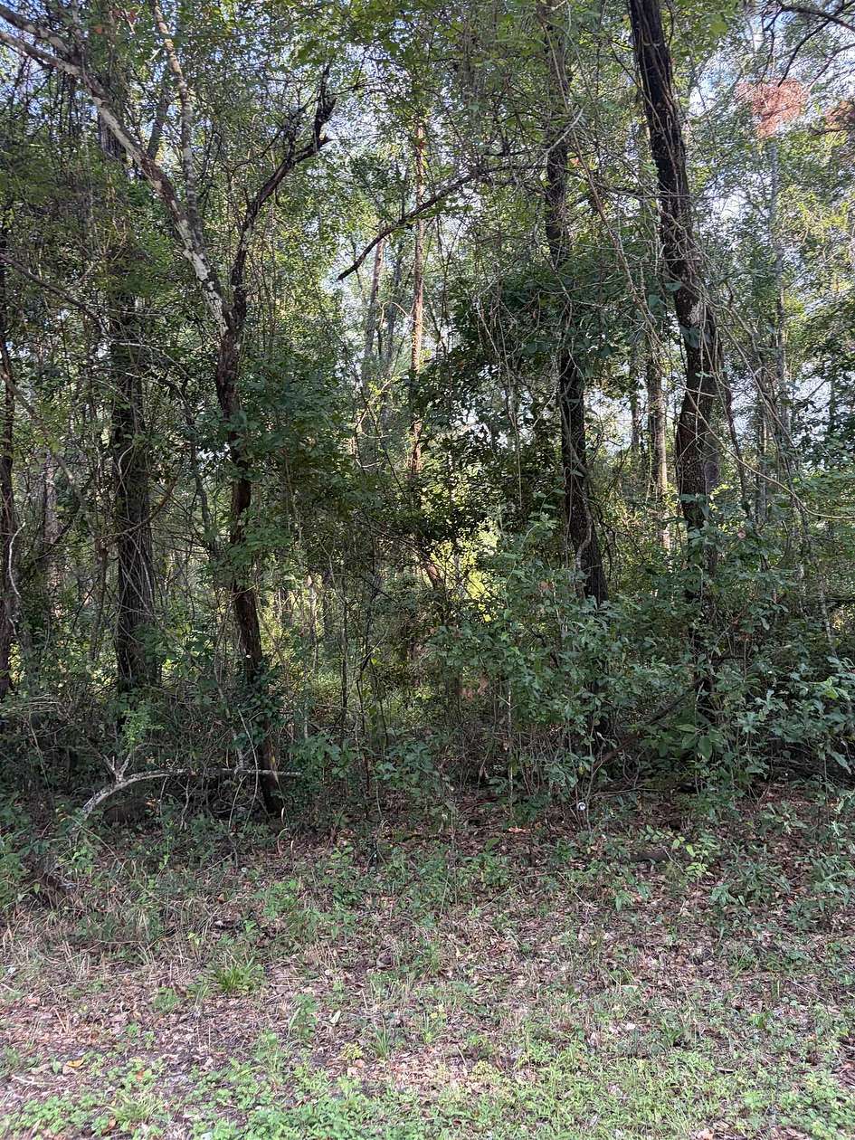 2 Acres of Residential Land for Sale in Monticello, Florida
