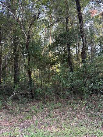2 Acres of Residential Land for Sale in Monticello, Florida