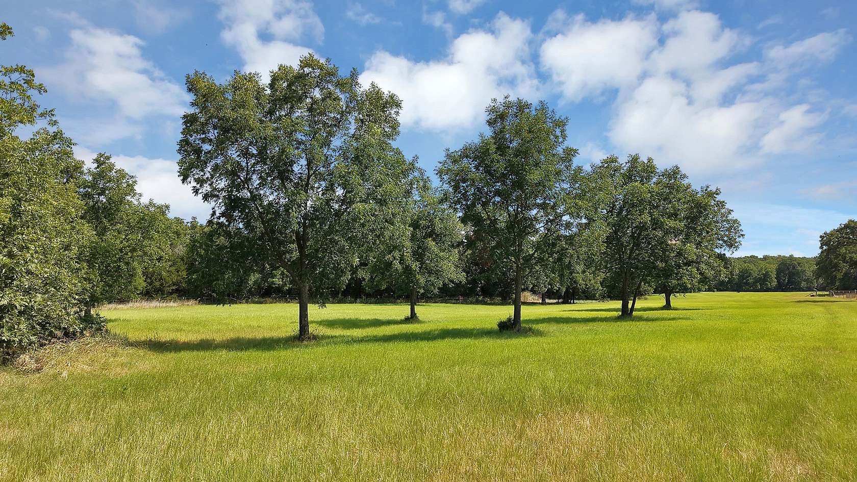 187 Acres of Improved Land for Sale in Bowie, Texas