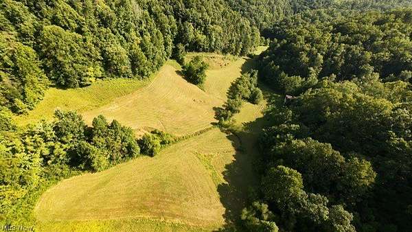 100 Acres of Land for Sale in Chloe, West Virginia