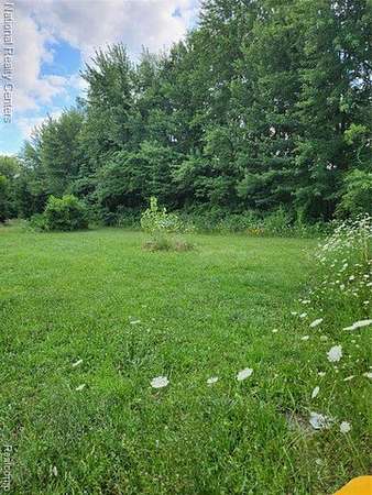 4 Acres of Land with Home for Sale in Augusta, Michigan