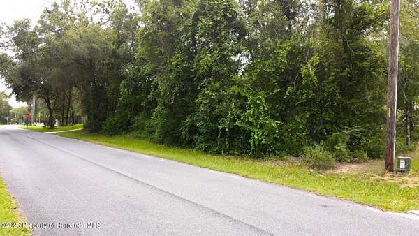 0.35 Acres of Residential Land for Sale in Hernando, Florida