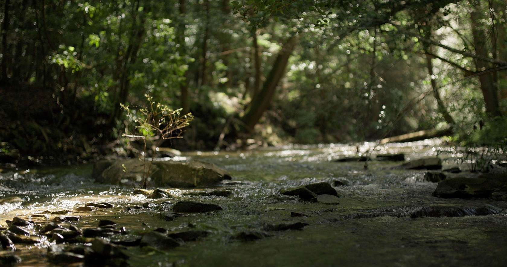 27 Acres of Land for Sale in Dunlap, Tennessee