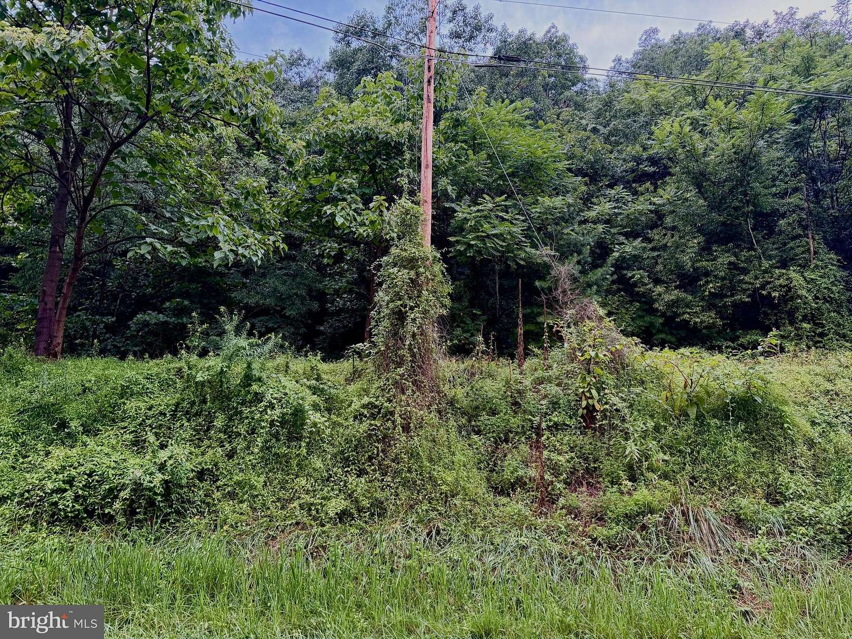 1 Acre of Residential Land for Sale in Stanley, Virginia
