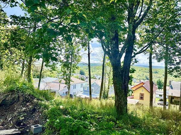 0.07 Acres of Residential Land for Sale in Davis, West Virginia