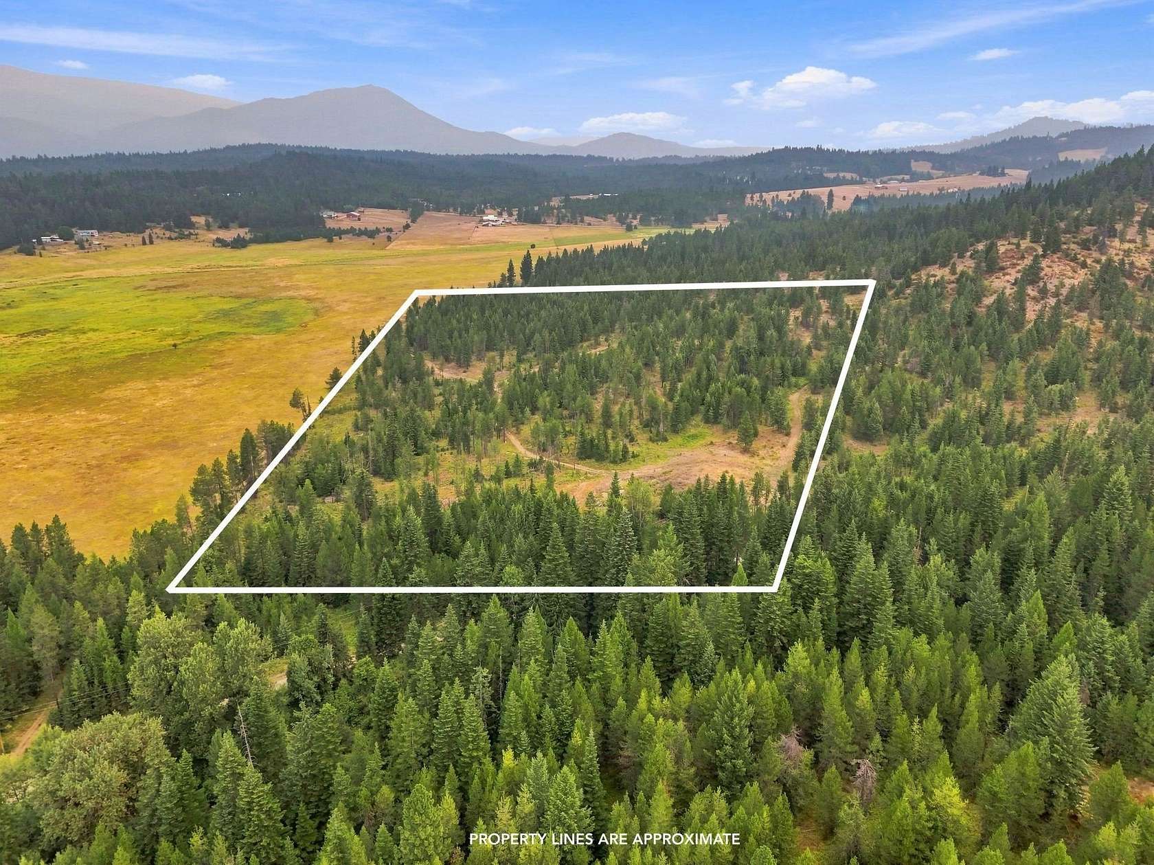 19.9 Acres of Recreational Land for Sale in Newport, Washington