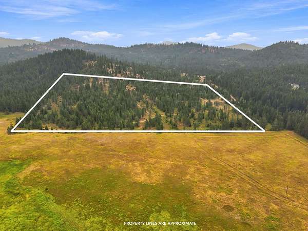 19.9 Acres of Recreational Land for Sale in Newport, Washington