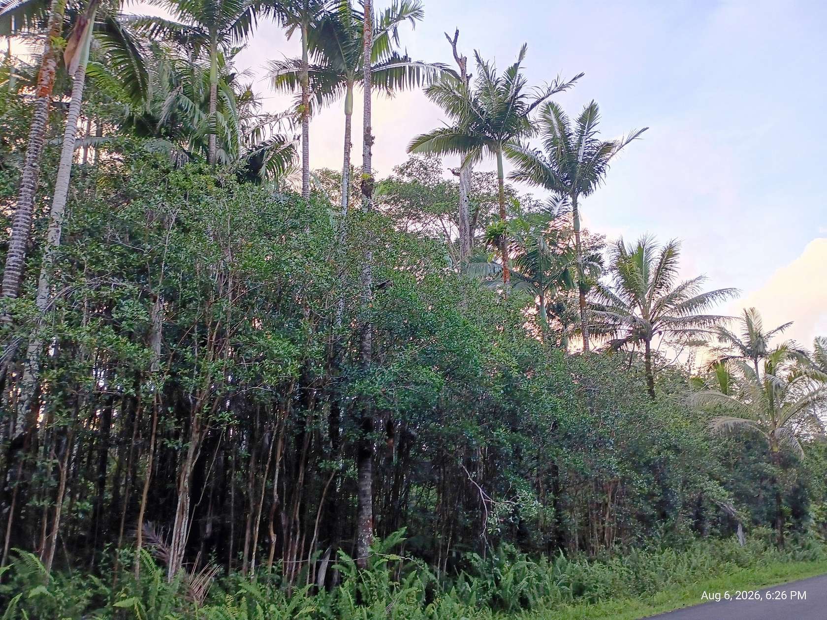 1 Acre of Residential Land for Sale in Pahoa, Hawaii
