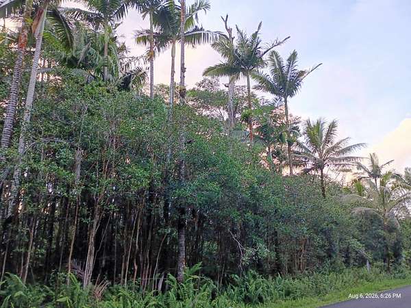 1 Acre of Residential Land for Sale in Pahoa, Hawaii