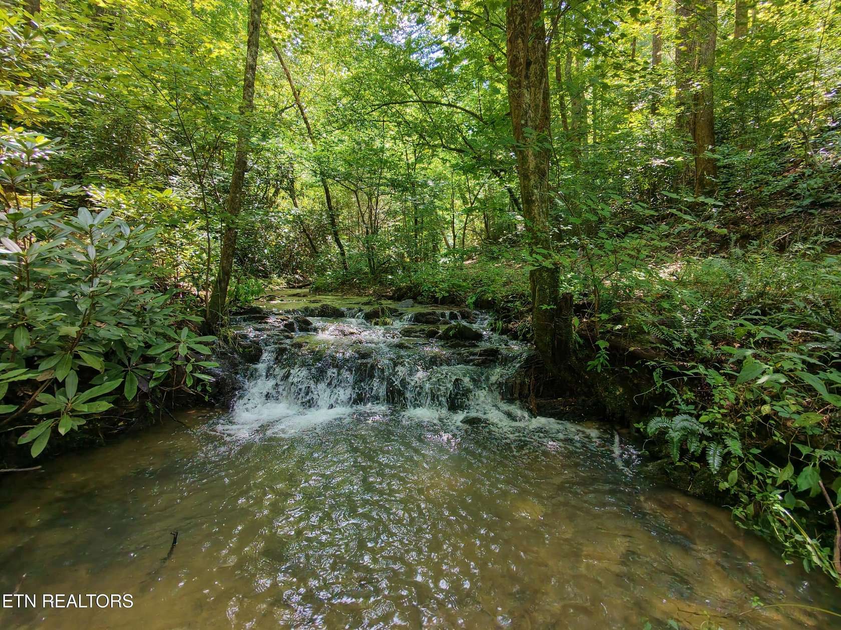 144 Acres of Agricultural & Residential Land for Sale in Cosby, Tennessee