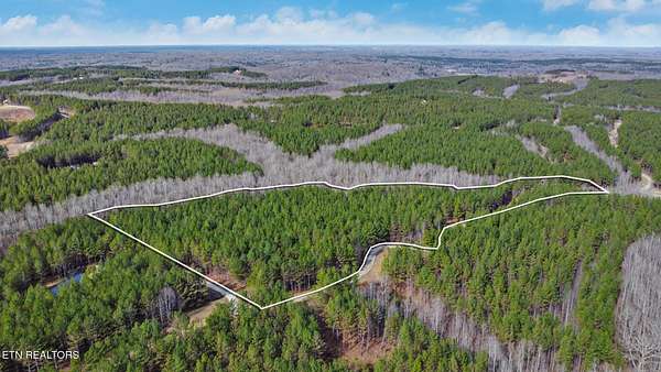 14.8 Acres of Recreational & Residential Land for Sale in Sunbright, Tennessee