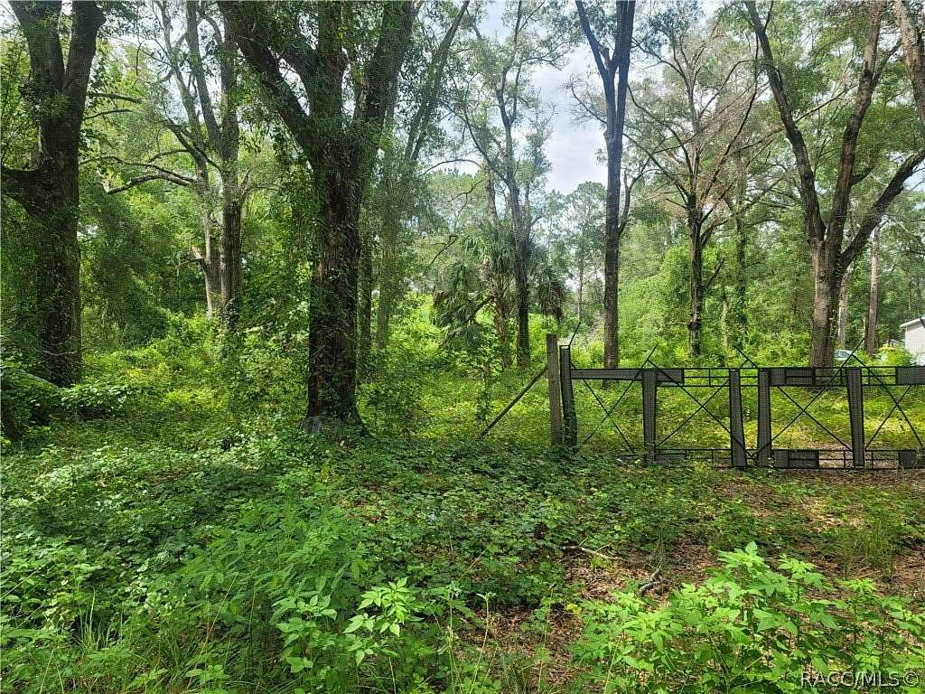 1.25 Acres of Land for Sale in Dunnellon, Florida