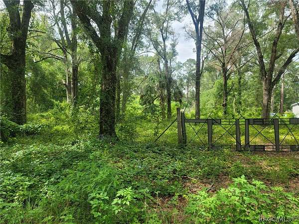 1.25 Acres of Land for Sale in Dunnellon, Florida