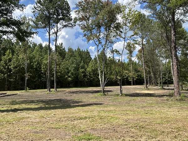 17.2 Acres of Recreational & Residential Land for Sale in Slocomb, Alabama