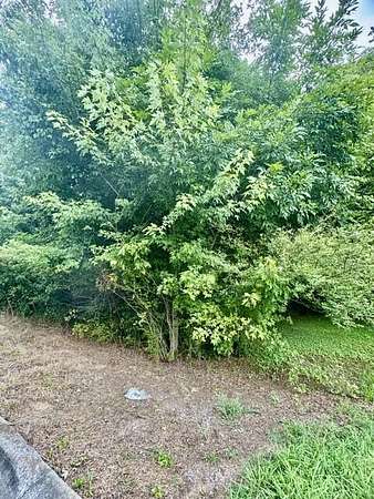 0.42 Acres of Land for Sale in Rocky Face, Georgia