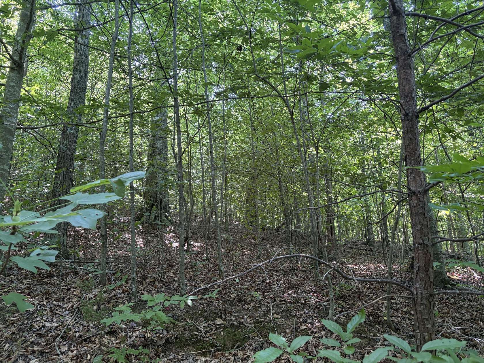 28 Acres of Recreational Land for Sale in Somerset, Kentucky