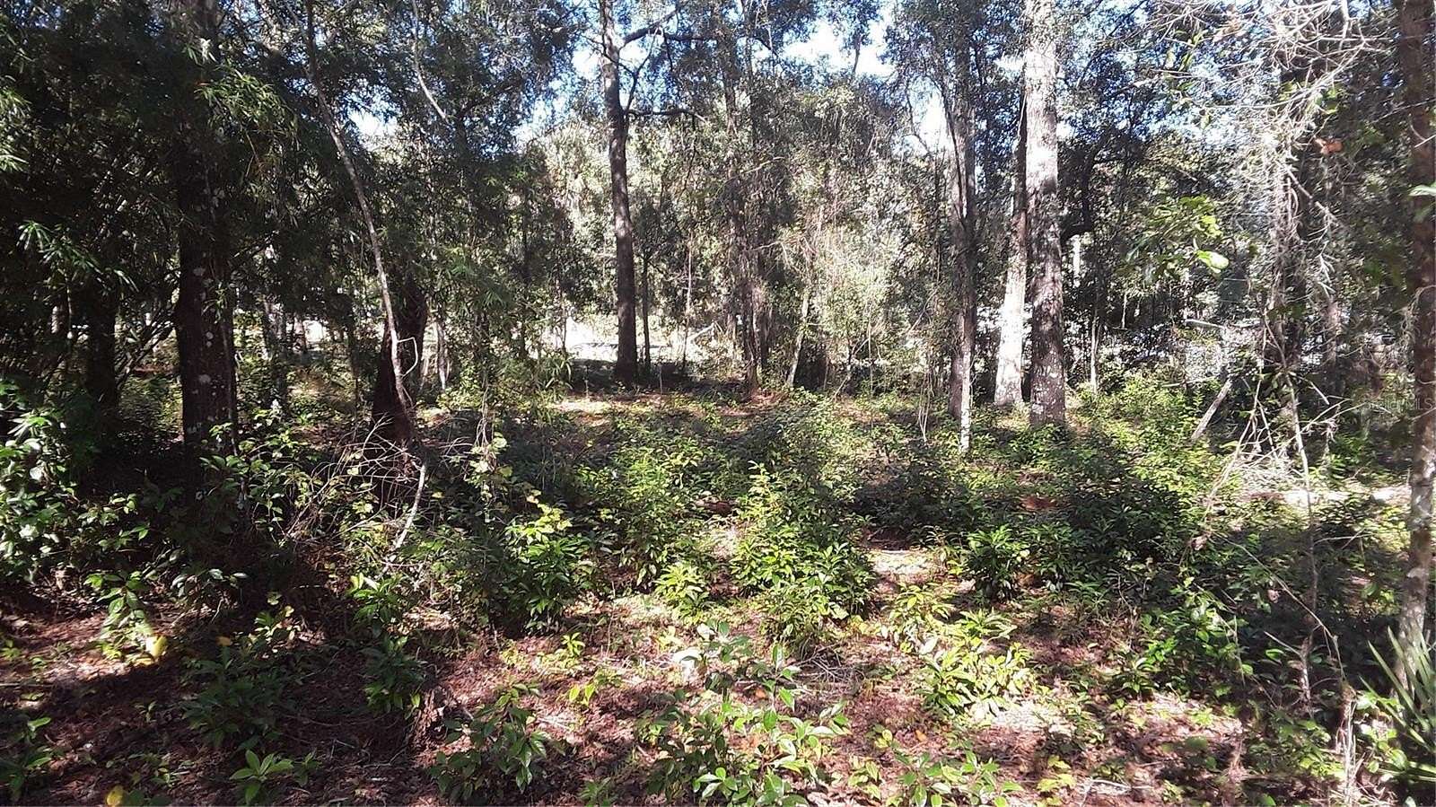 0.23 Acres of Residential Land for Sale in Dunnellon, Florida