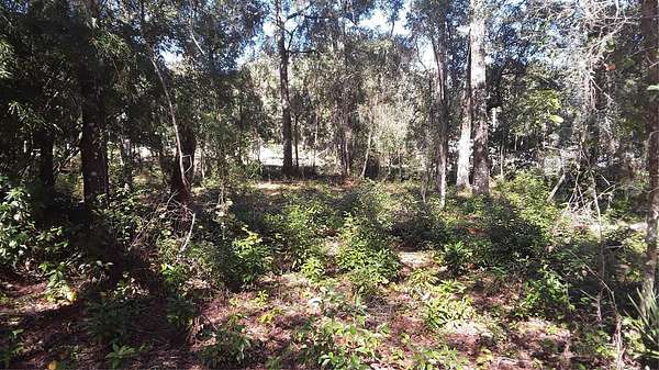0.23 Acres of Residential Land for Sale in Dunnellon, Florida