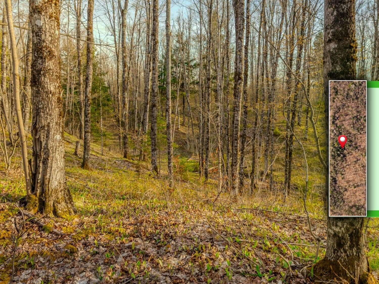 10 Acres of Land for Sale in Pelkie, Michigan