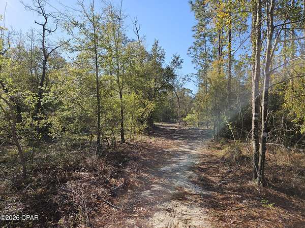 2.5 Acres of Residential Land for Sale in Chipley, Florida