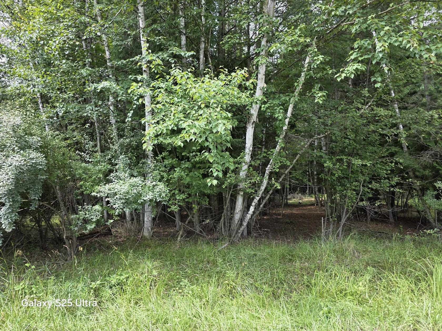 0.32 Acres of Residential Land for Sale in Gladwin, Michigan